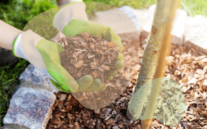 Read more about the article Top Mulching Techniques for Beginner Gardens