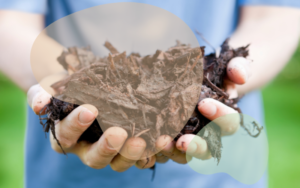 Read more about the article Benefits of Mulching: Why Every Gardener Should Use It
