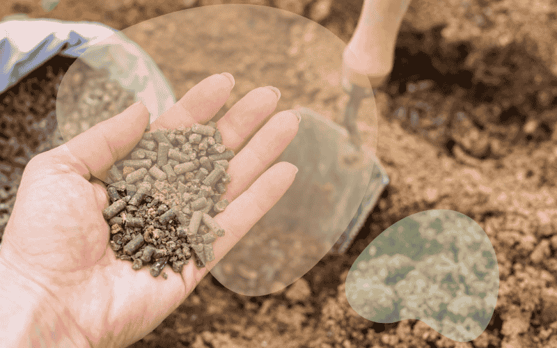 Read more about the article The Complete Guide to Soil and Fertiliser