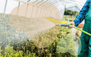 Read more about the article Mastering Watering Techniques: Keep Your Garden Thriving