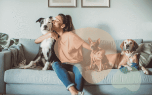 Read more about the article Studio Apartment Ideas for Dog Owners