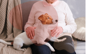 Read more about the article Keeping Your Dog Mentally Stimulated