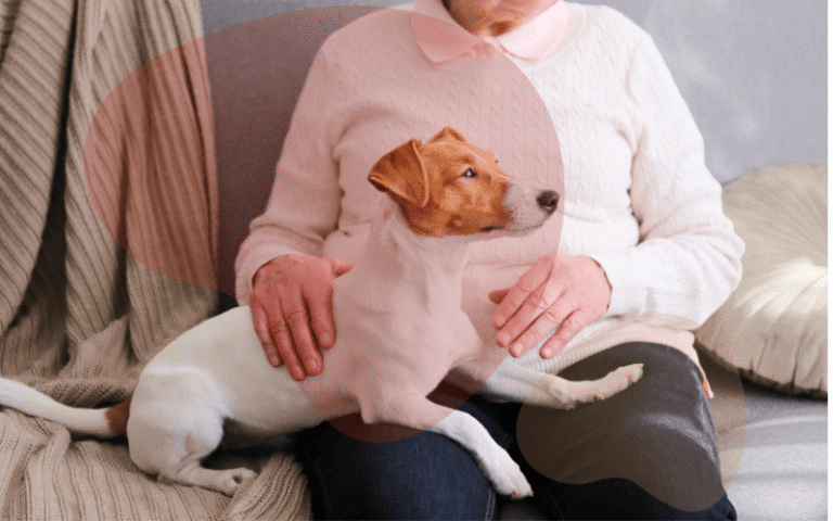 How to Build a Strong Emotional Bond With Your Dog