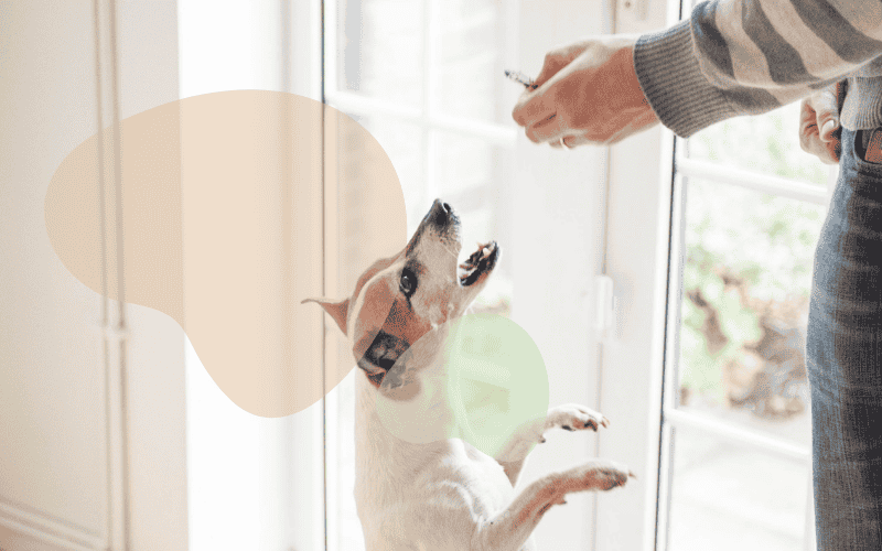 Training Tools & Equipment