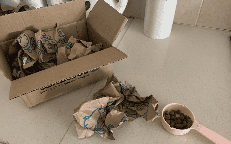 Cardboard Box Scent Game - DIY dog enrichment