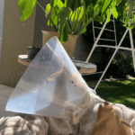 Cone of Shame: When Your Dog Needs It and Some Alternatives