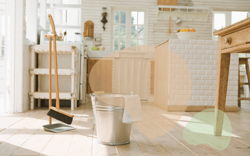 You are currently viewing How to keep your home clean with dogs