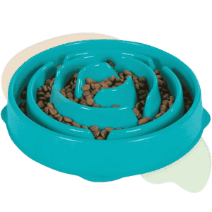 Outward Hound Fun Feeder Slo Bowl