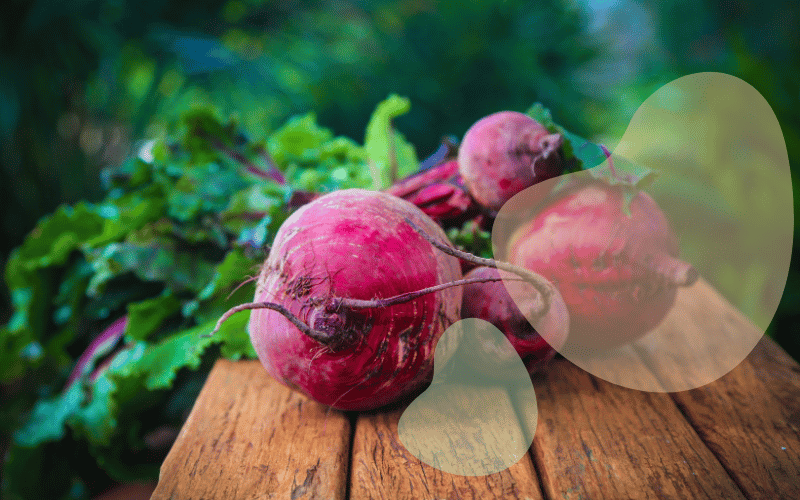 You are currently viewing Can Dogs Eat Beetroot?
