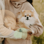When can I introduce my dog to my partner?