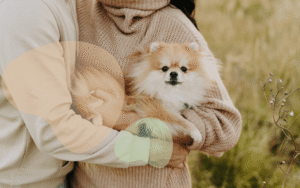 Read more about the article When can I introduce my dog to my partner?