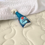 Why Does My Dog Pee on My Bed?