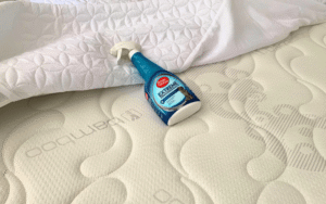 Read more about the article Why Does My Dog Pee on My Bed?