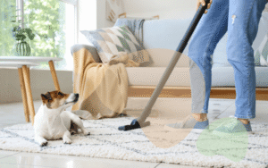 Read more about the article My Weekly Cleaning Routine with Dogs – Tips for a Fresh Home