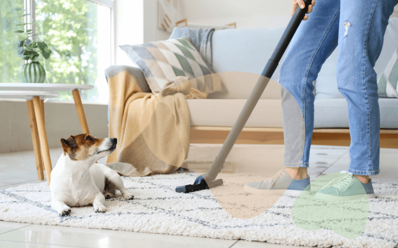 You are currently viewing My Weekly Cleaning Routine with Dogs – Tips for a Fresh Home