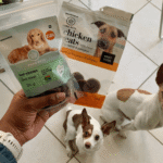 How to Choose Healthy Store-Bought Dog Treats?