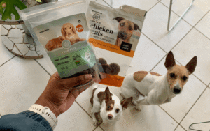 Read more about the article How to Choose Healthy Store-Bought Dog Treats?