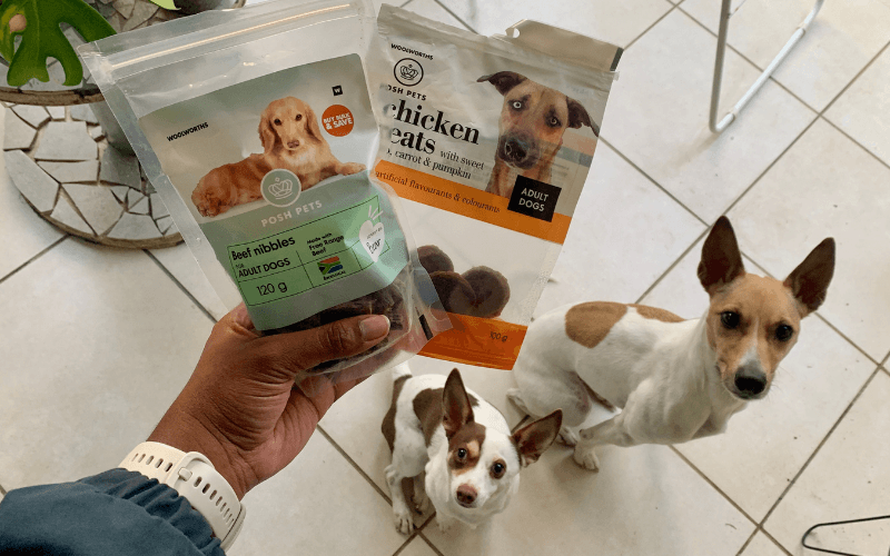 You are currently viewing How to Choose Healthy Store-Bought Dog Treats?