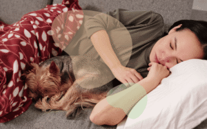 Read more about the article Why Does My Dog Sleep Pressed Against Me?